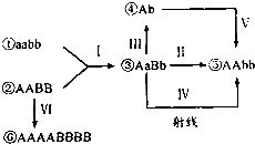 生态相似农作物混种实验解析