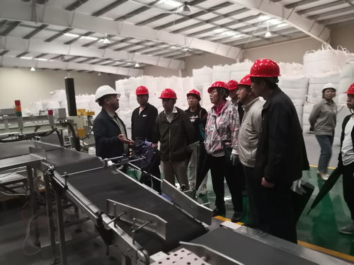 科技赋能，种业振兴——中国农业大学专家团队调研张掖玉米制种产业发展