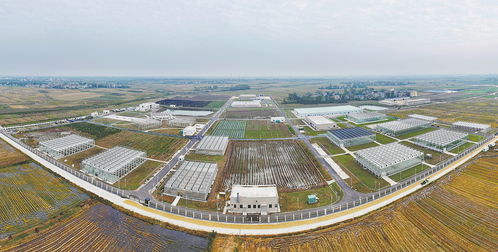 构建农业科研教学试验基地 推动农业科学研究和试验发展的新引擎
