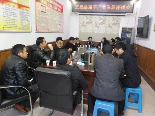 引龙头稳信心 拉试点稳发展——宣汉县农业科学研究所全力推动魔芋产业高质量发展