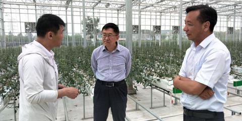 科技赋能，内涵发展 乌镇国际互联农业博览园的现代农业之路