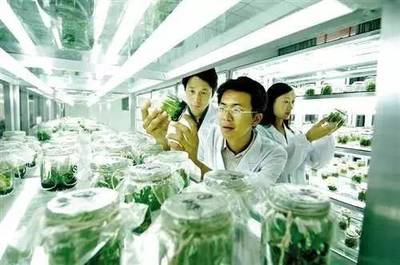 太空农业与分子农业 科技革新如何重塑传统商业模式