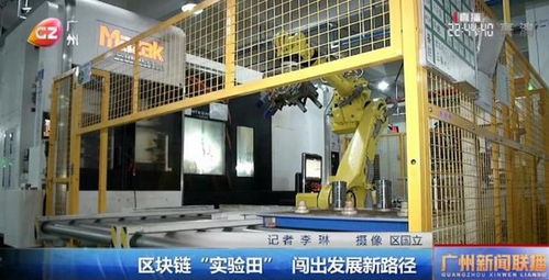 中设智控加快推动区块链“试验田”发展，赋能农业科学研究与试验发展