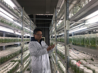 昆明驱动农业科创新引擎，加速建设区域性国际科技创新中心
