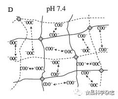 复配海藻酸盐凝胶作为传递体系的研究进展——以中国农业大学毛立科副教授团队为例